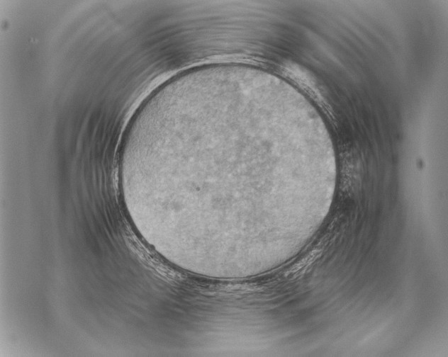 X0000070871284200607150112