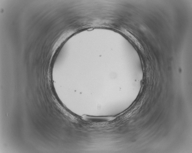 X0000070871285200607150112