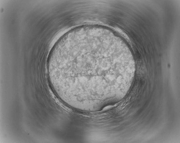 X0000070871287200607150112