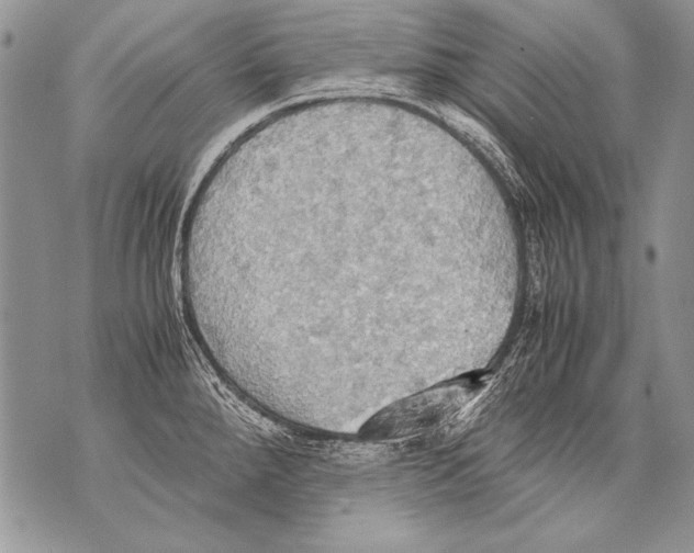 X0000070871288200607150112