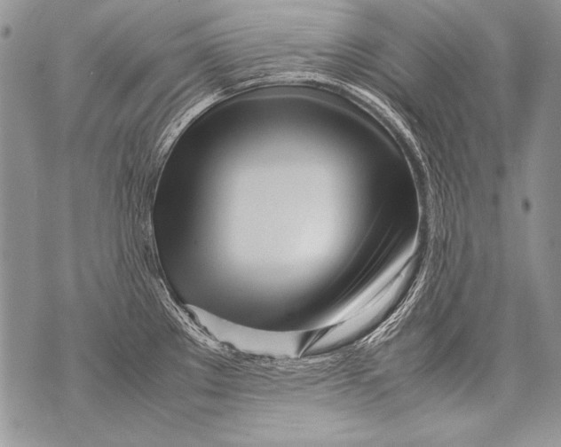 X0000070871289200607150112