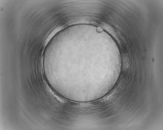 X0000070871290200607150112