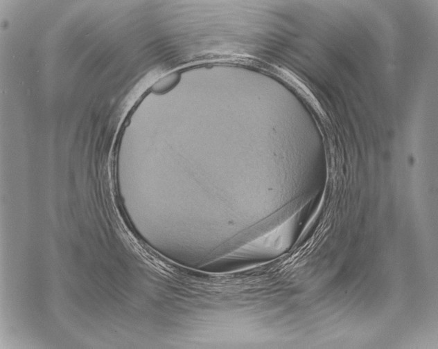 X0000070871291200607150112