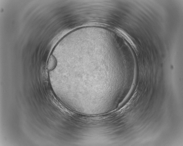 X0000070871292200607150112