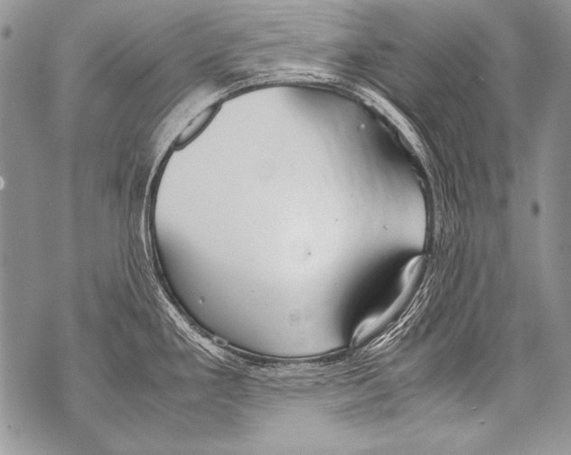 X0000070871293200607150112