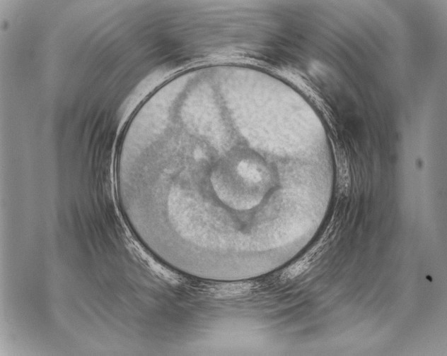 X0000070871294200607150112