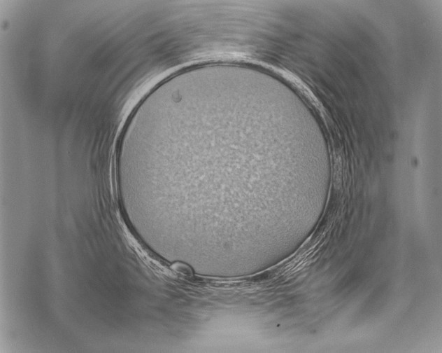 X0000070871295200607150112