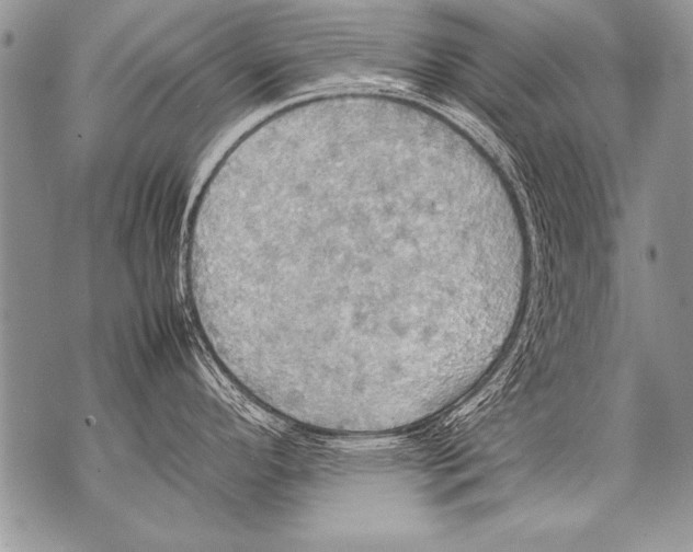 X0000070871296200607150112