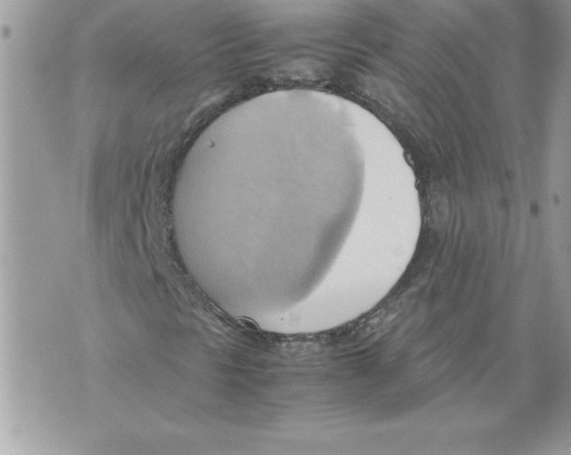 X0000070871297200607150111