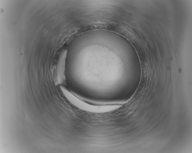 X0000070871298200607150111