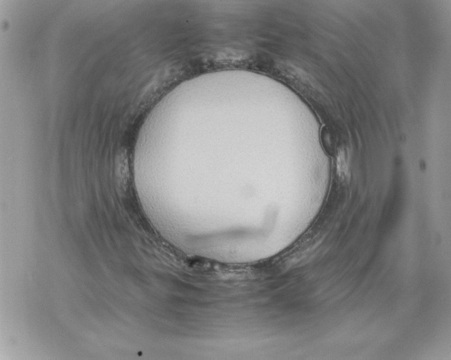 X0000070871299200607150111