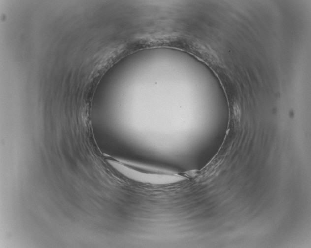 X0000070871300200607150111