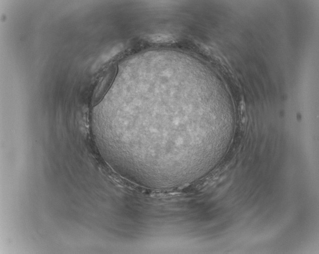 X0000070871301200607150111