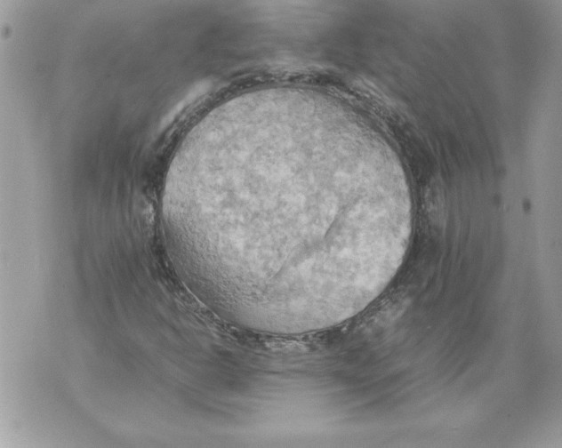 X0000070871302200607150111