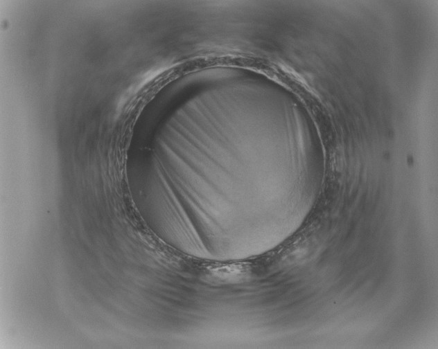 X0000070871303200607150111