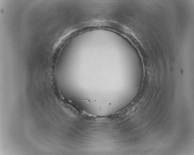 X0000070871304200607150111