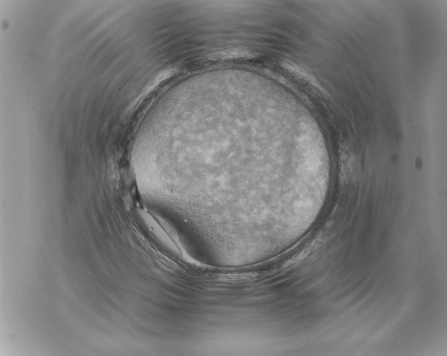 X0000070871305200607150111