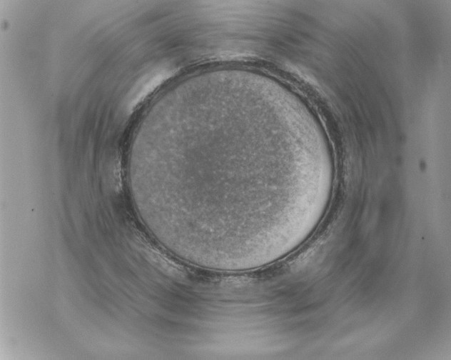 X0000070871306200607150111