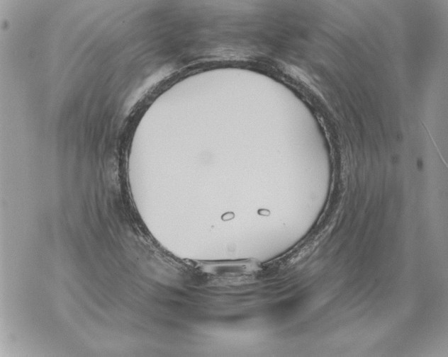 X0000070871307200607150111