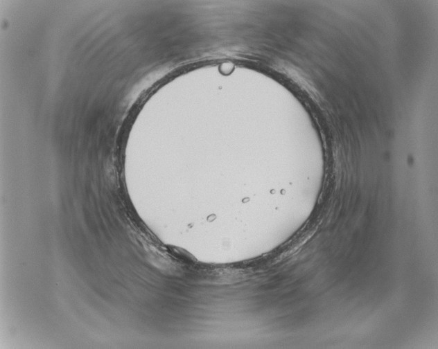 X0000070871308200607150111