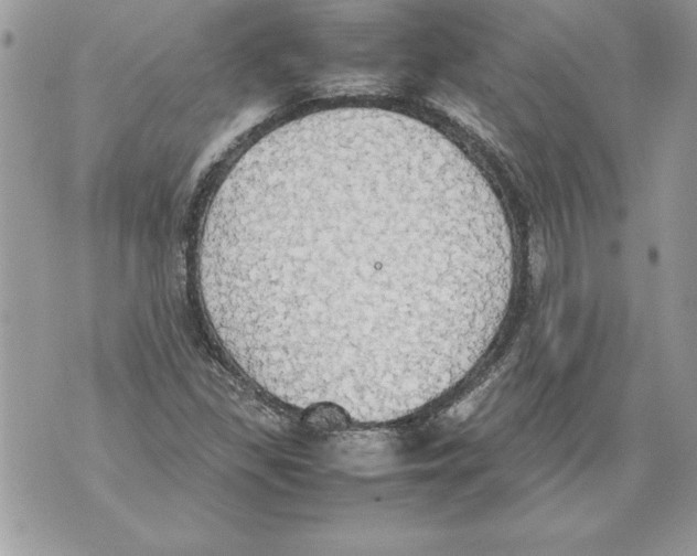 X0000070871309200607150111