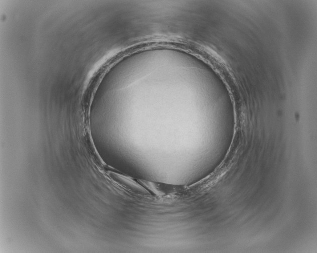 X0000070871310200607150111