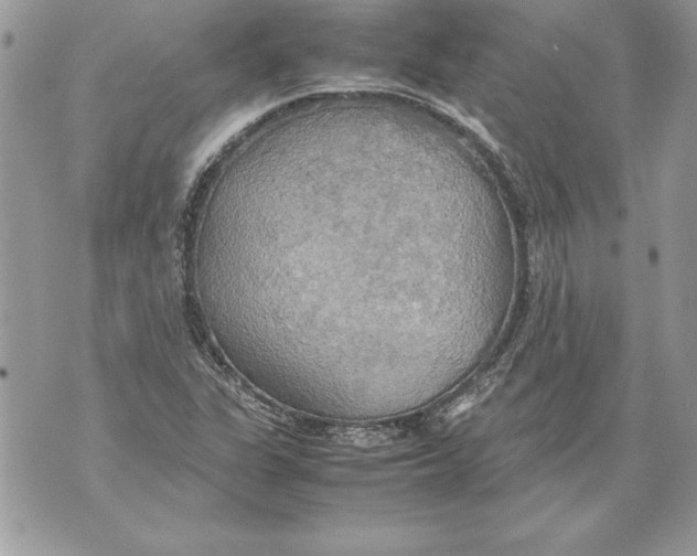 X0000070871311200607150111