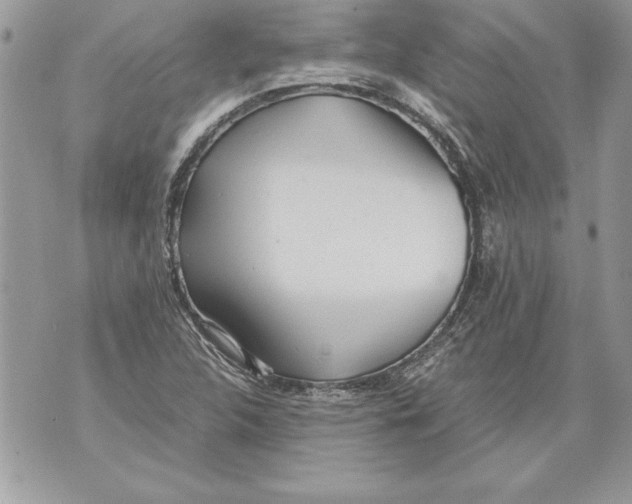 X0000070871312200607150111