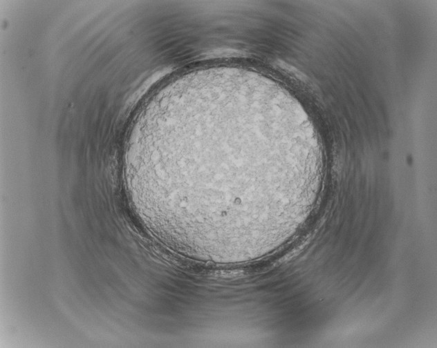 X0000070871313200607150111