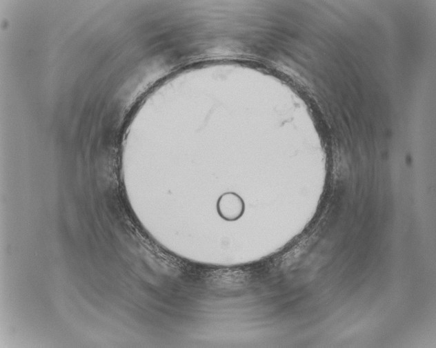 X0000070871314200607150111