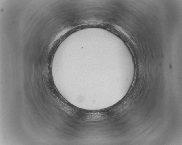 X0000070871315200607150111