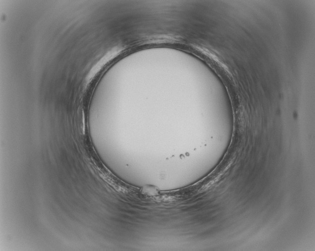 X0000070871317200607150111