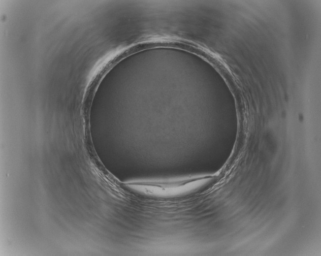 X0000070871319200607150111