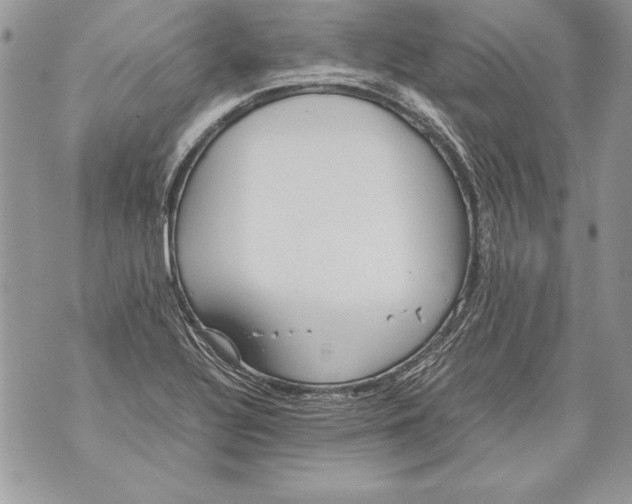 X0000070871320200607150111