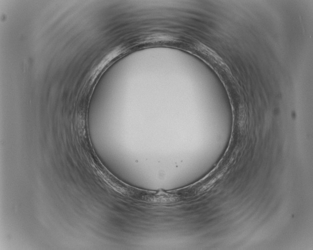 X0000070871321200607150111