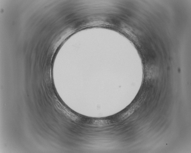 X0000070871322200607150111