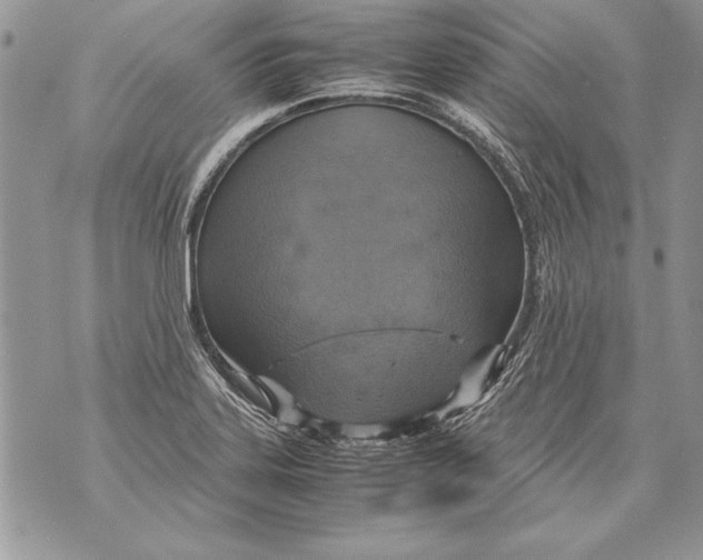 X0000070871323200607150111