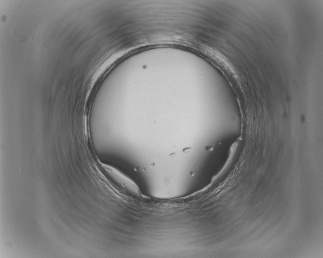 X0000070871324200607150111