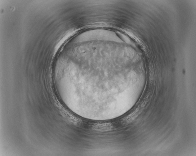 X0000070871325200607150111