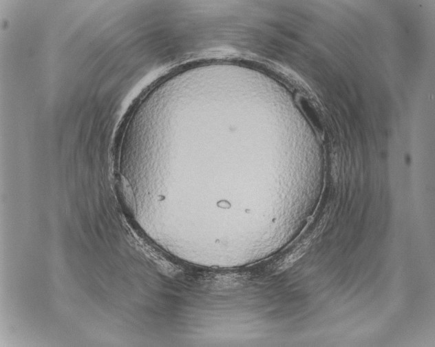 X0000070871326200607150111