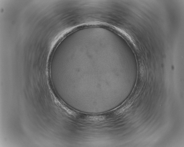 X0000070871327200607150111