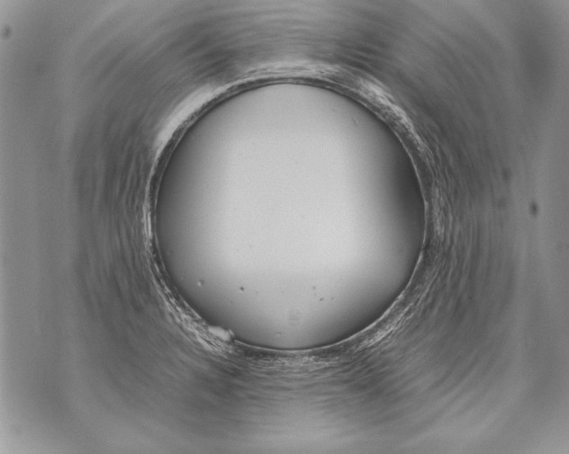 X0000070871328200607150111