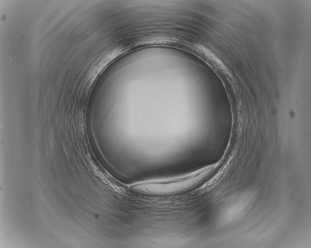 X0000070871329200607150111