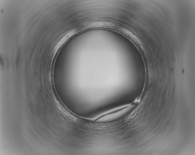 X0000070871330200607150111