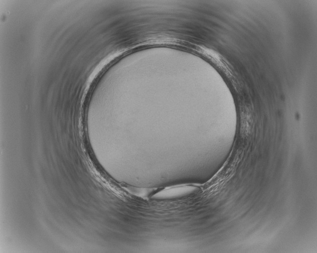 X0000070871331200607150111