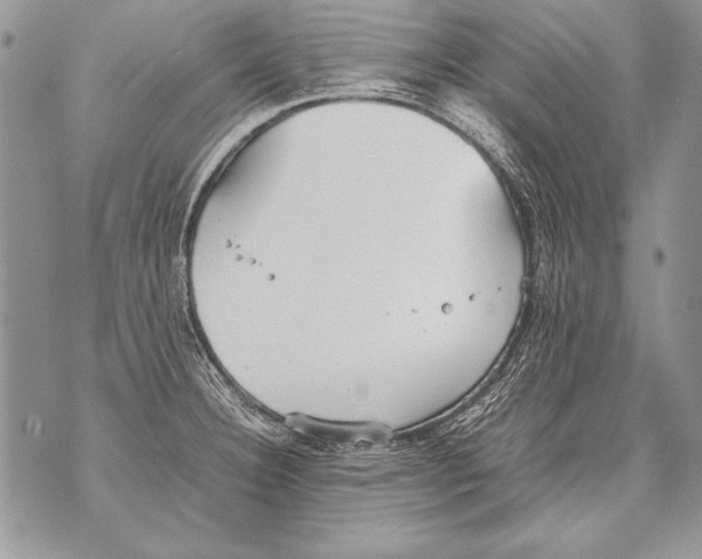 X0000070871332200607150111