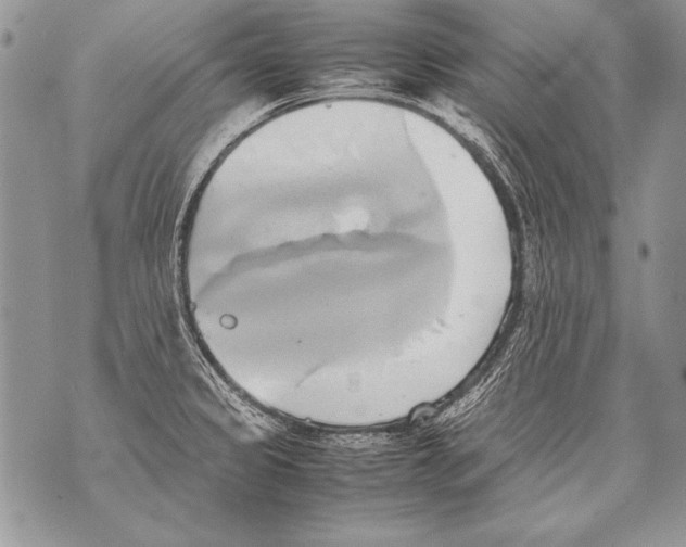 X0000070871333200607150111