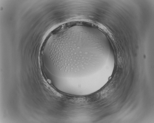 X0000070871334200607150112