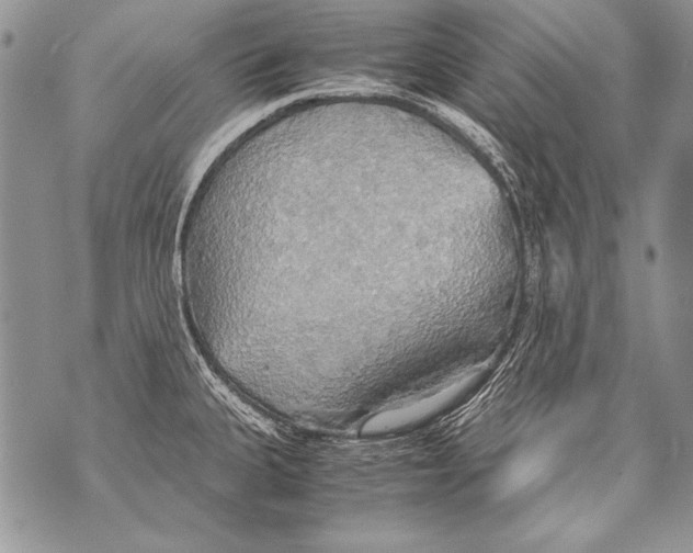 X0000070871335200607150112