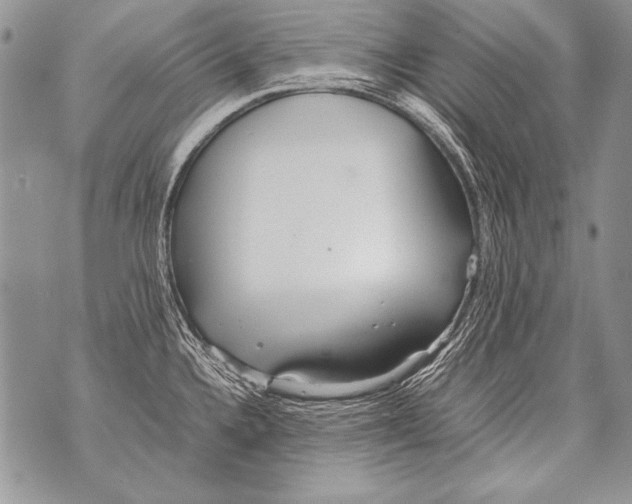 X0000070871336200607150112